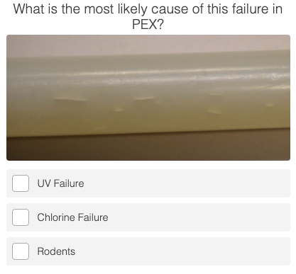 quiz pex failure